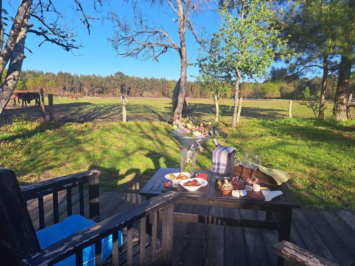 Le Barp Domaine L'Oree Du Marais المظهر الخارجي الصورة